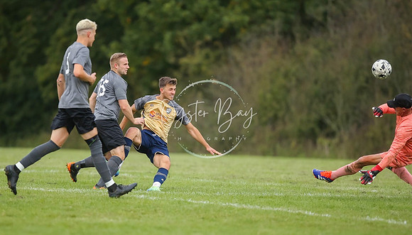 SouthEastSwans_1-4_Egerton_324