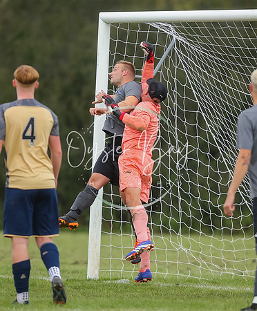 SouthEastSwans_1-4_Egerton_326