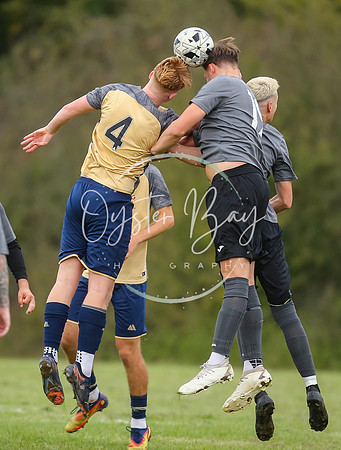 SouthEastSwans_1-4_Egerton_327