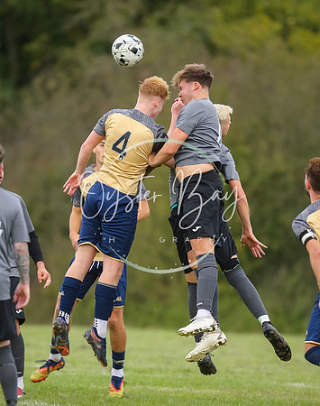 SouthEastSwans_1-4_Egerton_328