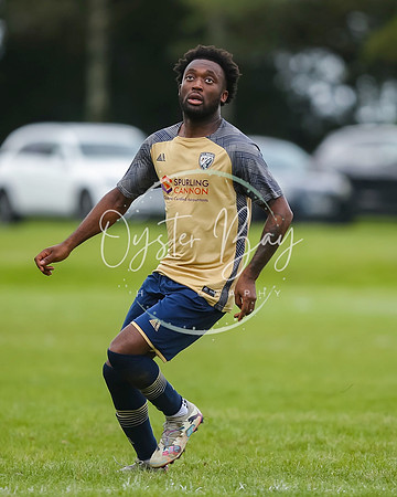SouthEastSwans_1-4_Egerton_330