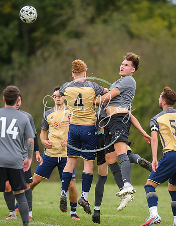 SouthEastSwans_1-4_Egerton_329