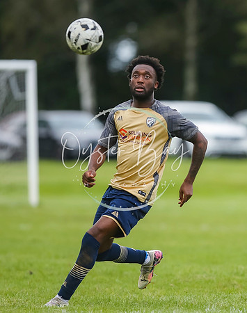 SouthEastSwans_1-4_Egerton_332
