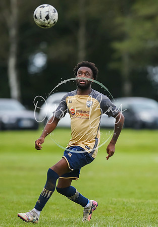 SouthEastSwans_1-4_Egerton_331