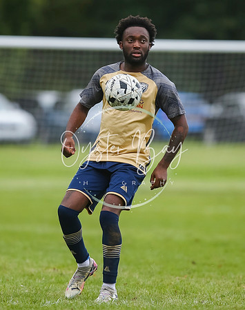 SouthEastSwans_1-4_Egerton_333