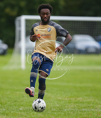 SouthEastSwans_1-4_Egerton_334