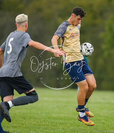 SouthEastSwans_1-4_Egerton_335