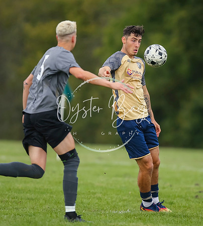 SouthEastSwans_1-4_Egerton_336