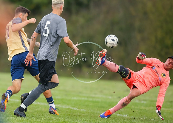 SouthEastSwans_1-4_Egerton_338