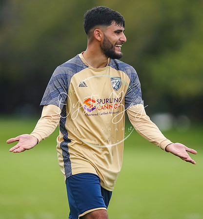 SouthEastSwans_1-4_Egerton_340