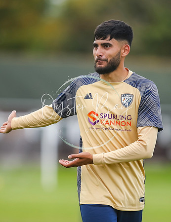 SouthEastSwans_1-4_Egerton_341