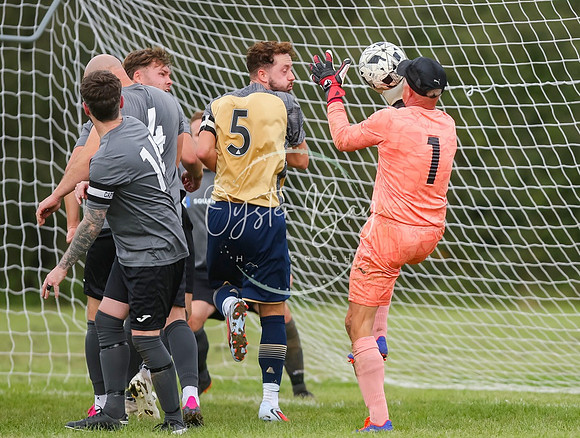 SouthEastSwans_1-4_Egerton_343