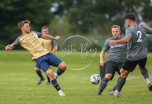 SouthEastSwans_1-4_Egerton_345