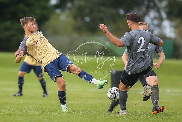 SouthEastSwans_1-4_Egerton_346