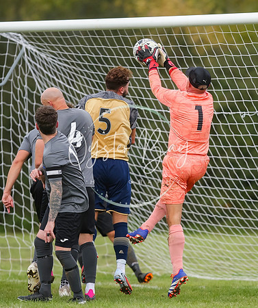 SouthEastSwans_1-4_Egerton_342