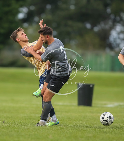 SouthEastSwans_1-4_Egerton_348