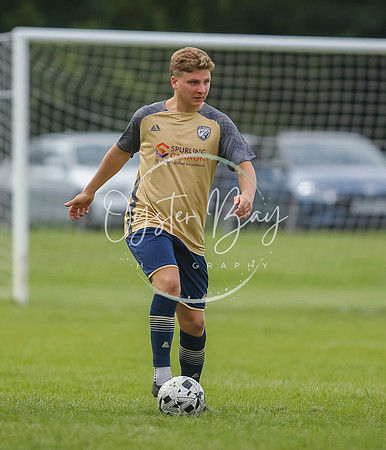 SouthEastSwans_1-4_Egerton_350