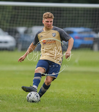 SouthEastSwans_1-4_Egerton_351