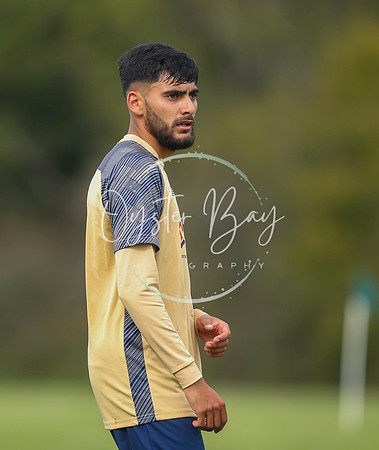 SouthEastSwans_1-4_Egerton_352