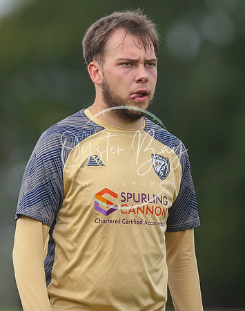SouthEastSwans_1-4_Egerton_353