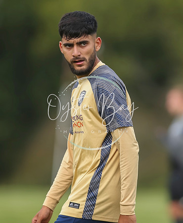 SouthEastSwans_1-4_Egerton_354
