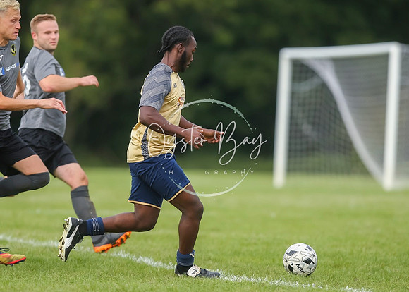 SouthEastSwans_1-4_Egerton_356
