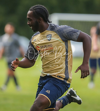 SouthEastSwans_1-4_Egerton_359