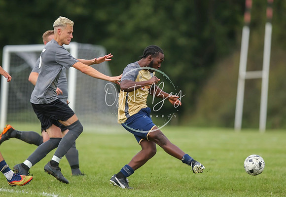 SouthEastSwans_1-4_Egerton_358