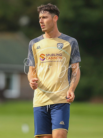 SouthEastSwans_1-4_Egerton_360