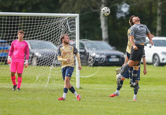 SouthEastSwans_1-4_Egerton_361
