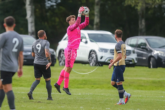 SouthEastSwans_1-4_Egerton_363