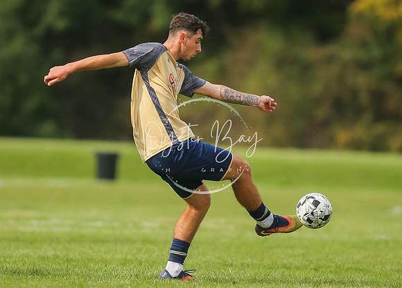 SouthEastSwans_1-4_Egerton_365