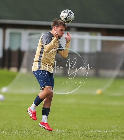 SouthEastSwans_1-4_Egerton_366