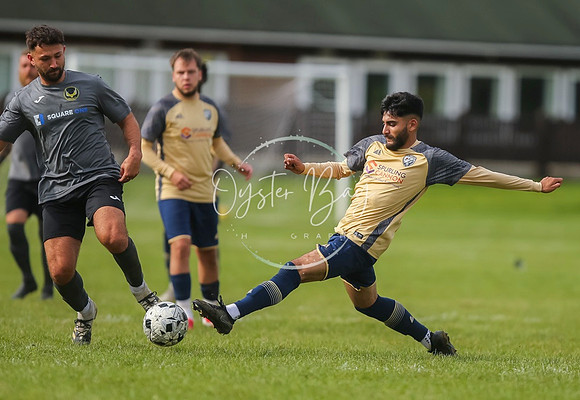 SouthEastSwans_1-4_Egerton_368