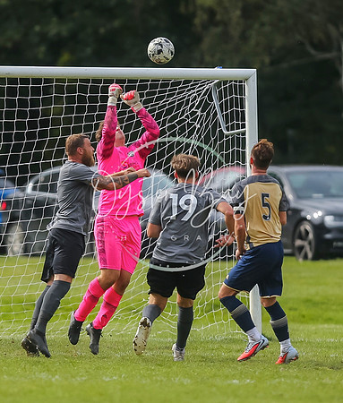 SouthEastSwans_1-4_Egerton_369