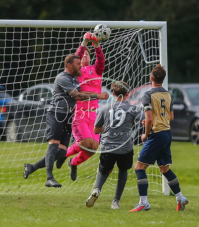 SouthEastSwans_1-4_Egerton_370