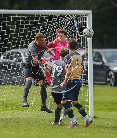 SouthEastSwans_1-4_Egerton_371
