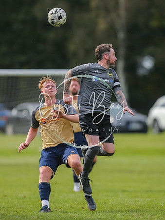 SouthEastSwans_1-4_Egerton_372