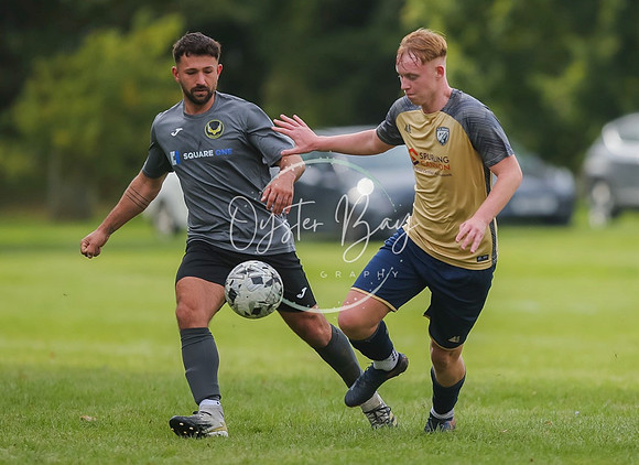 SouthEastSwans_1-4_Egerton_373