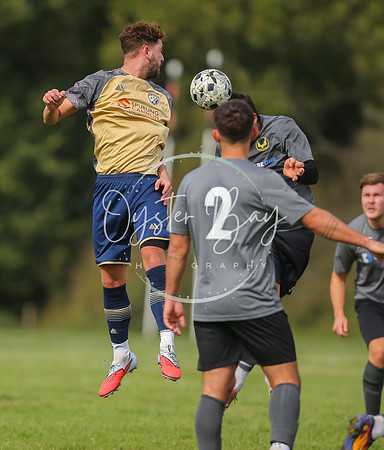 SouthEastSwans_1-4_Egerton_376
