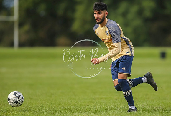 SouthEastSwans_1-4_Egerton_380