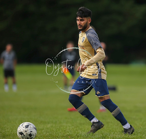 SouthEastSwans_1-4_Egerton_382