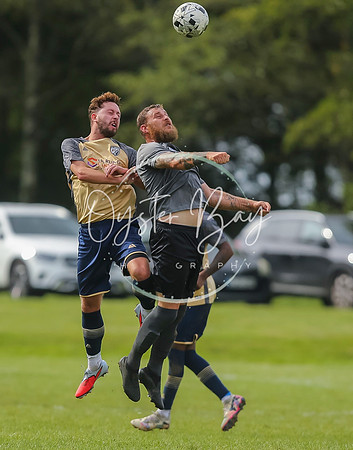 SouthEastSwans_1-4_Egerton_383