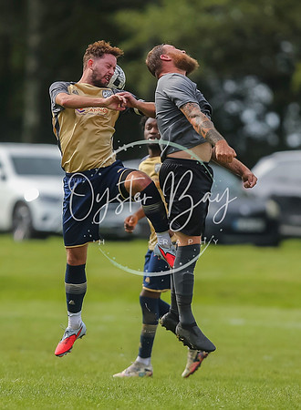 SouthEastSwans_1-4_Egerton_384