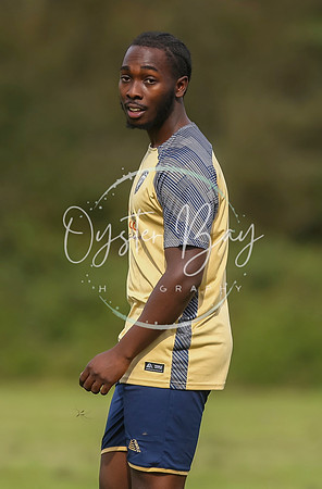SouthEastSwans_1-4_Egerton_387