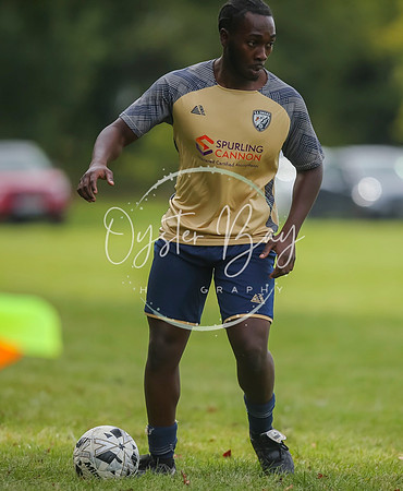 SouthEastSwans_1-4_Egerton_391