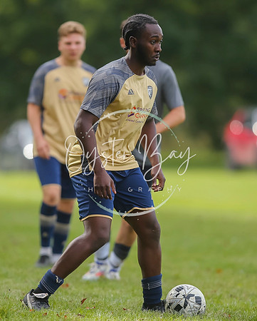 SouthEastSwans_1-4_Egerton_392