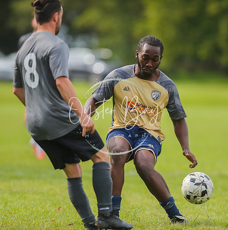 SouthEastSwans_1-4_Egerton_394