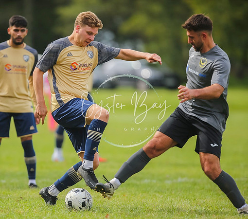 SouthEastSwans_1-4_Egerton_395