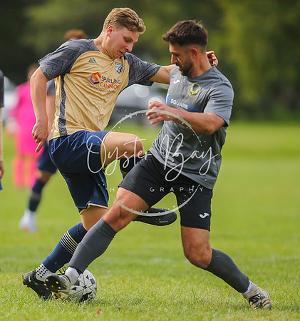 SouthEastSwans_1-4_Egerton_396
